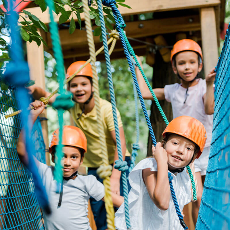 Bradford---Altavista